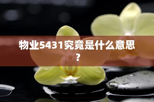 物业5431究竟是什么意思？