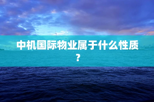 中机国际物业属于什么性质？