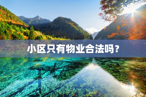 小区只有物业合法吗？