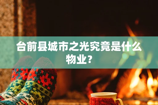 台前县城市之光究竟是什么物业？