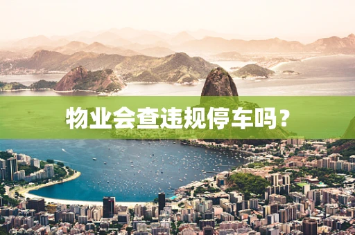 物业会查违规停车吗？