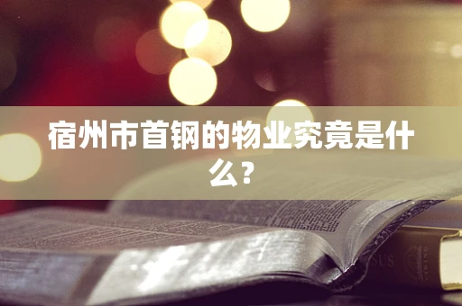 宿州市首钢的物业究竟是什么？