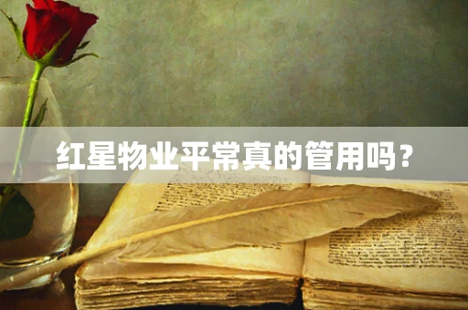 红星物业平常真的管用吗？