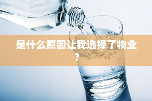 是什么原因让我选择了物业？