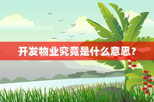 开发物业究竟是什么意思？