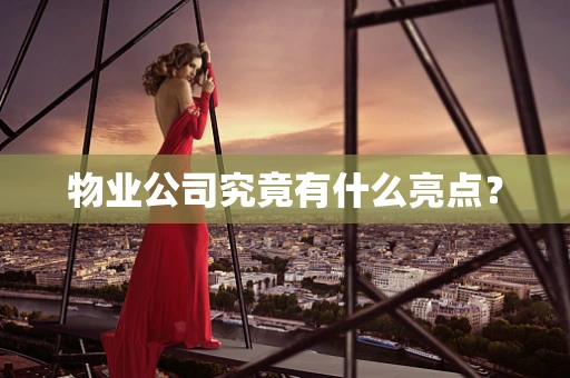 物业公司究竟有什么亮点？