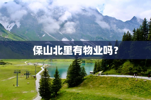 保山北里有物业吗？