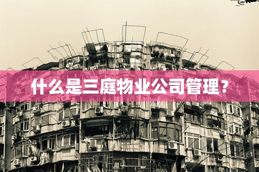 什么是三庭物业公司管理？