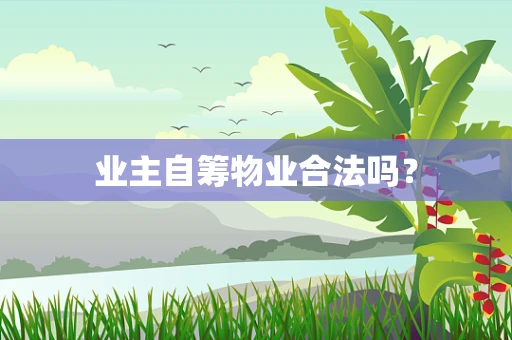业主自筹物业合法吗？