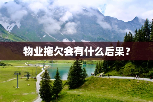 物业拖欠会有什么后果？