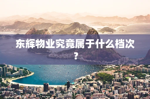 东辉物业究竟属于什么档次？