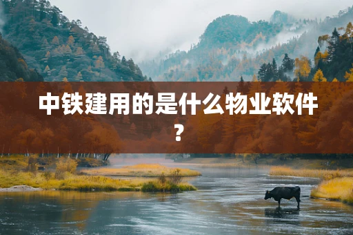 中铁建用的是什么物业软件？