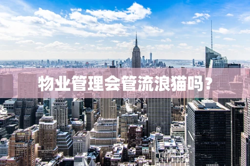 物业管理会管流浪猫吗？