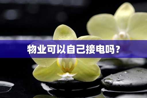 物业可以自己接电吗？