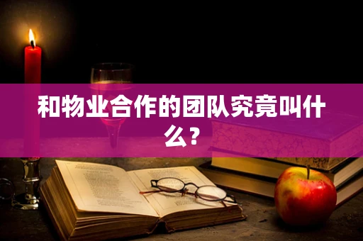 和物业合作的团队究竟叫什么？