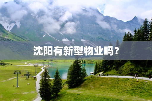 沈阳有新型物业吗？