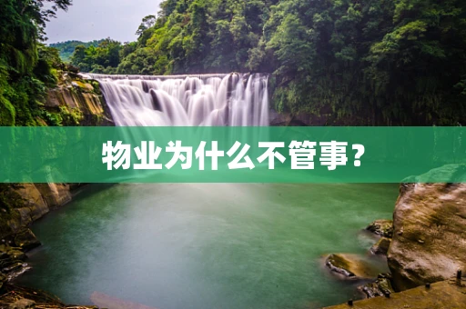 物业为什么不管事？