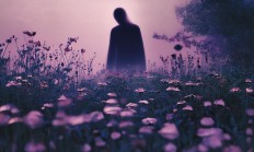 物业骚扰业主会构成什么罪名？