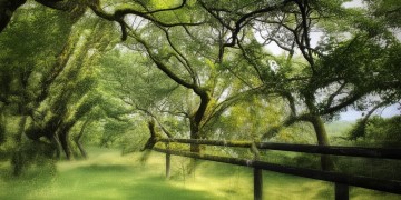 天龙山庄需要怎样的物业管理？