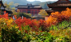 湖南建工物业是国企吗？