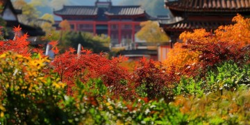 湖南建工物业是国企吗？