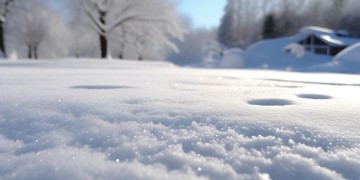 物业应该清扫积雪吗？