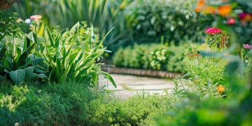 业主有权查物业公司吗？